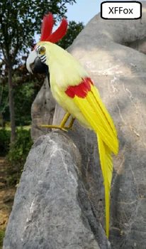 Nové reálnom živote žltá papagáj model pena&pierko cockatoo vták darček asi 30 cm xf0103