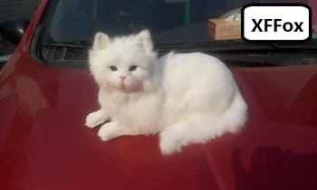 Veľké reálnom živote biela mačka model plastická a kožušín roztomilé mačka ležiace bábika darček asi 30x16x16cm xf1393