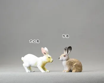 Animas! Pevné animal model hračka zajac králik malý králik ozdoby prevedenie obľúbených!