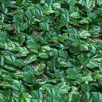 Umelé Faux Ivy Leaf Ochrany Osobných Údajov Plot Obrazovke Domov Záhrada, Vonkajšie Panely Zabezpečenie
