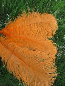 Veľkoobchod krásne orange pštrosie perie 50pcs 18~20 palcov / 45-50 cm Svadby & Oslavy perie