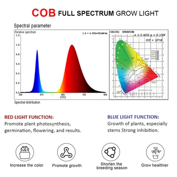 300W COB Led Rásť Svetlo celé Spektrum Lampa LED Rásť Stan Izbové Rastliny, Kvety Sejba Rastie Svetla Pre Rastliny Phyto UV Lampa