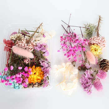 Skutočné Sušené kvety Rastlín Pre DIY Príslušenstvo Viacerých Kvetinový Materiál pre Aromaterapiu Sviečka Živice Prívesok Robiť Plavidlá, GQ