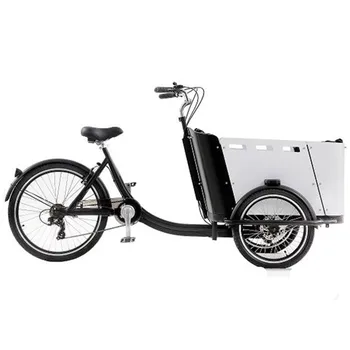 4 Sedadlá, Elektrické Rodiny Cargo Bicykel pre Dospelých Trojkolka pre Dopravu a Nakupovanie najmodernejšie Nákladné Bicykli Niekedy Postavený