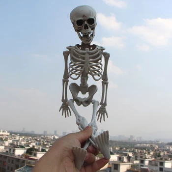 Halloween Prop Ľudské Kostry Plnej Veľkosti Lebky Strane Život Tela, Anatómia Model Dekor 3 Ks Halloween Dekorácie 40 cm