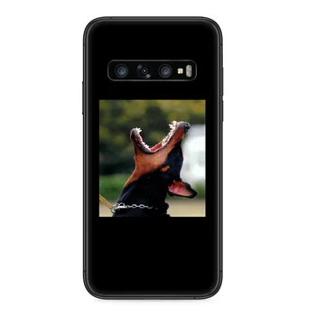 Cool Doberman psa Telefón puzdro Pre Samsung Galaxy S 10 20 3 4 5 6 7 8 9 Plus E Lite Uitra black funda luxusné silikónové shell