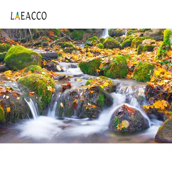Laeacco Rock Creek Vody Opadané Lístie Prírodnej Krajiny Zobraziť Fotografiu Na Pozadí Prispôsobené Fotografie Pozadia Pre Photo Studio