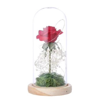 Ruže Kvet v Sklenenou Kupolou s Enchanted Svetlo Sklo Rose Najlepšie Darčeky pre Ženy, Matky, Deň Valentína, Výročie Svadby