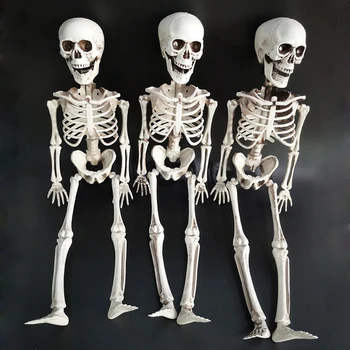 Halloween Prop Ľudské Kostry Plnej Veľkosti Lebky Strane Život Tela, Anatómia Model Dekor 3 Ks Halloween Dekorácie 40 cm