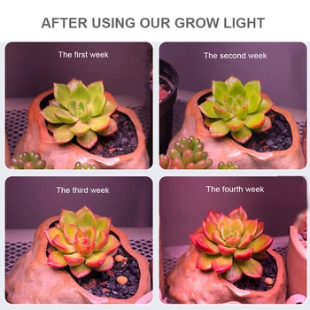300W COB Led Rásť Svetlo celé Spektrum Lampa LED Rásť Stan Izbové Rastliny, Kvety Sejba Rastie Svetla Pre Rastliny Phyto UV Lampa