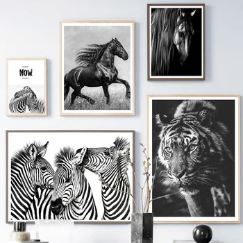 Black White Achal-Teke Kôň Zebra Tiger Wall Art Plátno Na Maľovanie Nordic Plagáty A Potlačou Obrazov Na Stenu Pre Obývacia Izba Dekor