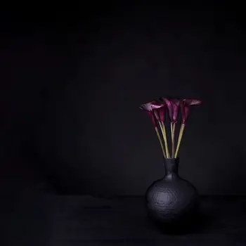 Sprchový Záves Fialová Kala Lilly Kvety Kytice v Čiernej Tĺkol Váza Tmavé Farebné umelecké Diela Vytlačené