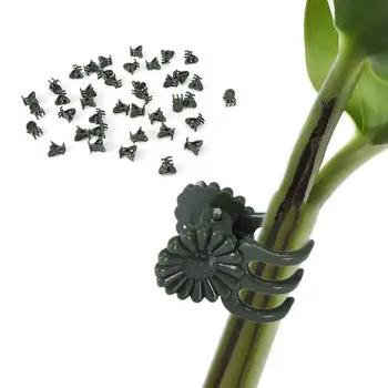 Plastové strojov podporu svorka orchidea kmeňových svorka viniča nástroj zeleniny zväzok záhrada pobočky svorka kvet podporu kravatu A8B5