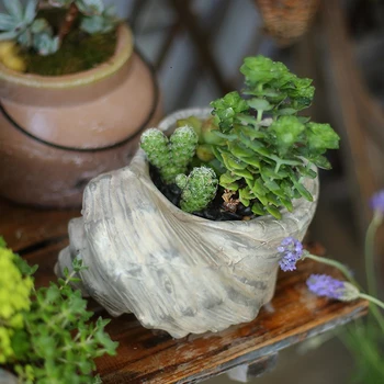 Kreatívne Conch kvetináče keramiku, vázy hydroponické pôdy kultúra antického ročníka, záhradné dekorácie, záhradné ozdoby domova