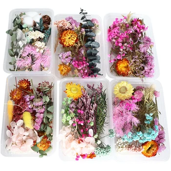 Skutočné Sušené kvety Rastlín Pre DIY Príslušenstvo Viacerých Kvetinový Materiál pre Aromaterapiu Sviečka Živice Prívesok Robiť Plavidlá, GQ