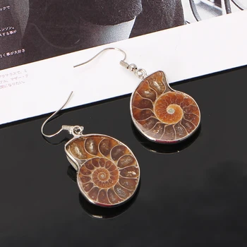 Ženy Darček Slimák Ammonite Prírodné Špirála Whorl Conch Shell Prírody Farba Zvierat Prívesok Visieť Háčik Náušnice