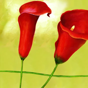 HAOCHU umenie moderné kvetinové triple akvarel domova plagát na obývacia izba obrázok darček nástenné plátno olej tlač bez rámu