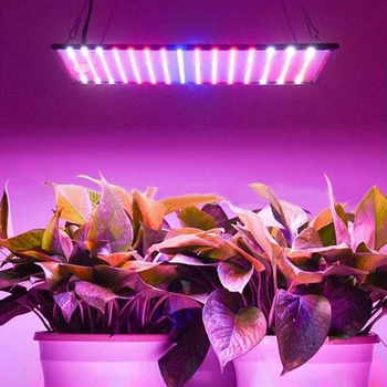 1000W Led Rásť Svetlo celé Spektrum LED Lampa Ultra-tenké Phytolamp Pre Rastlín Rastúcich Ľahký Stan UV IR Červená Modrá 225 Led Flower Osiva