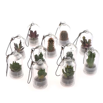 Kaktus Miniatúrne Šťavnaté Kaktus Terárium Nositeľné Náhrdelník Live DIY Sukulentných Rastlín Prívesok Náhodné Štýl