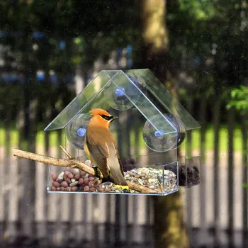 Sklenené Závesné Bulík Okno Papagáj Vtáčie Kŕmidlá Transparentné Osivo Arašidy Skladovanie Krmív Dom Malé Domáce Zvieratá
