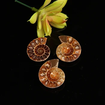 2PC Prírodný Kryštál Kremeňa Split Ammonite Fosílnych Vzor Shell Uzdravenie Dekorácie Madagaskar Kamene a Minerály Domova