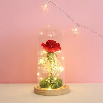 Ruže Kvet v Sklenenou Kupolou s Enchanted Svetlo Sklo Rose Najlepšie Darčeky pre Ženy, Matky, Deň Valentína, Výročie Svadby