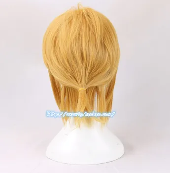 Legend of Zelda Odkaz Cosplay zlato parochňa blond vlasy cope, hranie rolí plaids s voľným vlasy spp